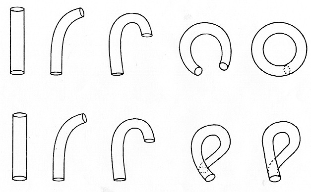 Figure 6. Construction of torus (upper row) and Klein bottle (lower row)