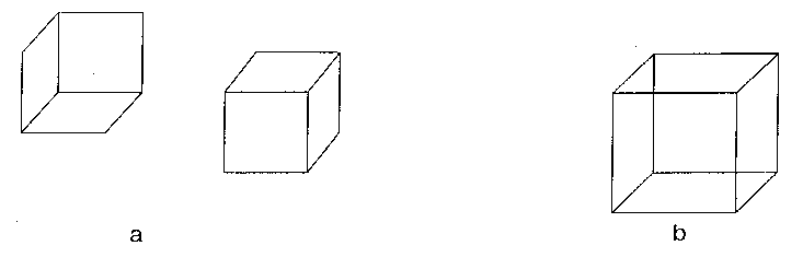 Figure 1. Opposing perspectives (a) and Necker cube (b)