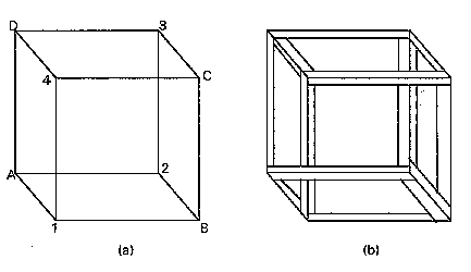 Figure 3. Bare Necker cube (a) and cube with volume (b) (after Ernst 1986, 
p. 86)
