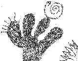 PICTURE of a CACTUS